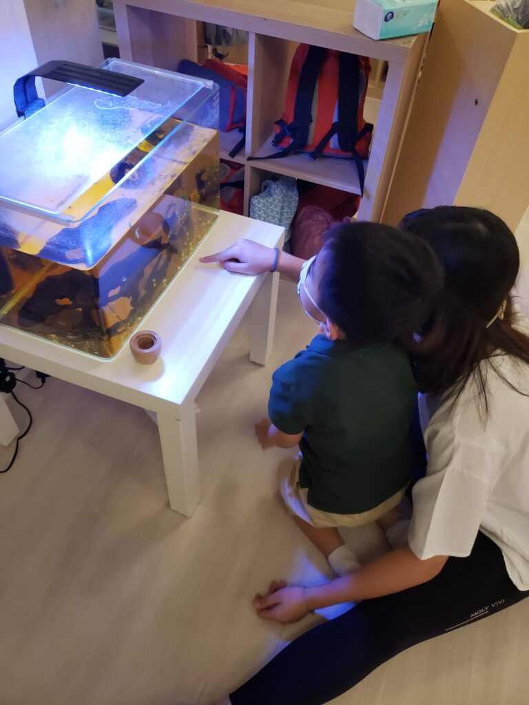 3.影子老師