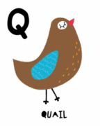 Q 01