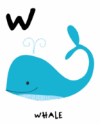 W 01