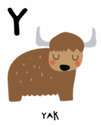 Y 01