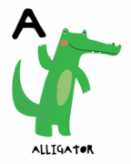 A 01
