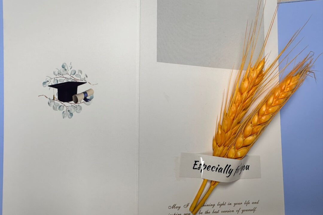 靜靜 2024中心訓練a