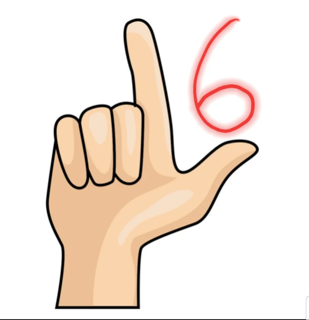 手勢字母和6